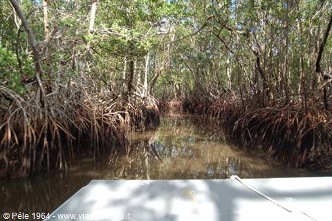 Everglades Park