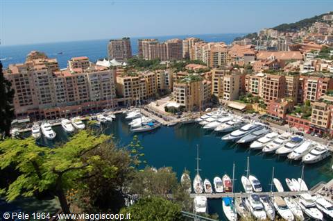 view MonteCarlo