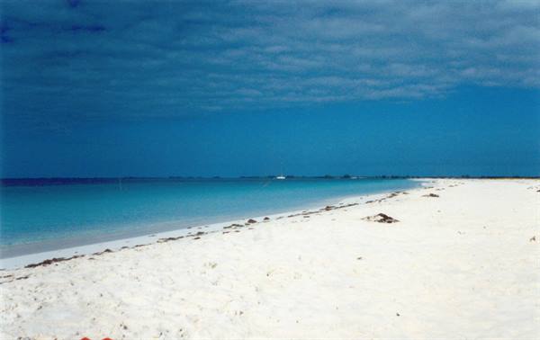White sand, seaweed on shore, turquoise sea, distant boat and cloudy sky