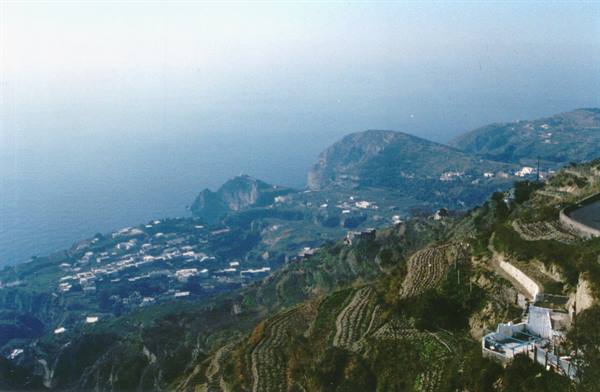 Terraced fields slope to the sea, scattered white houses, Ischia