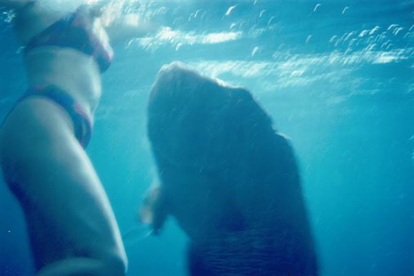 Swimmer in bikini beside a large fish underwater, blue light