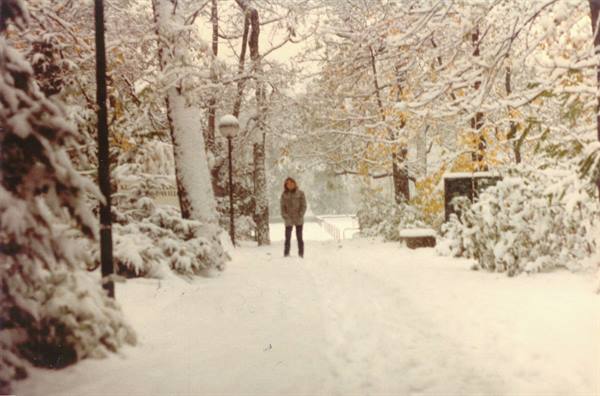 Woman in coat walking on a snowy path among white-covered trees
