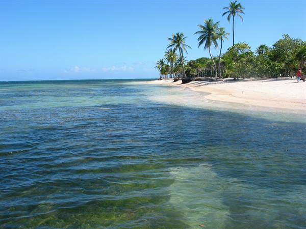 Clear turquoise water and white sand with palm trees, tropical beach
