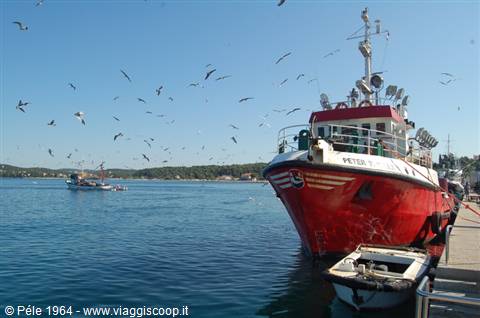 Rovinj