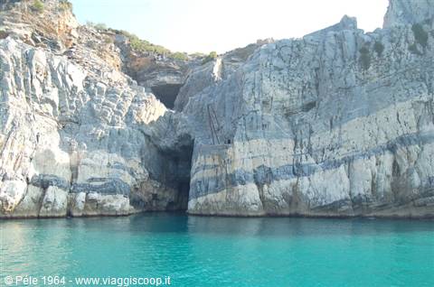 Palmaria island