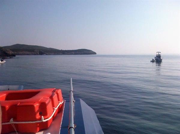 Red lifebuoy on boat bow, calm sea with fishing boat and green headland