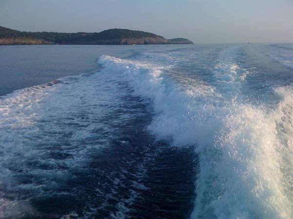 White foamy wake behind a boat, green coastline in the distance