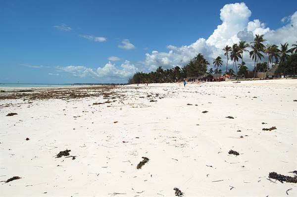 low tide